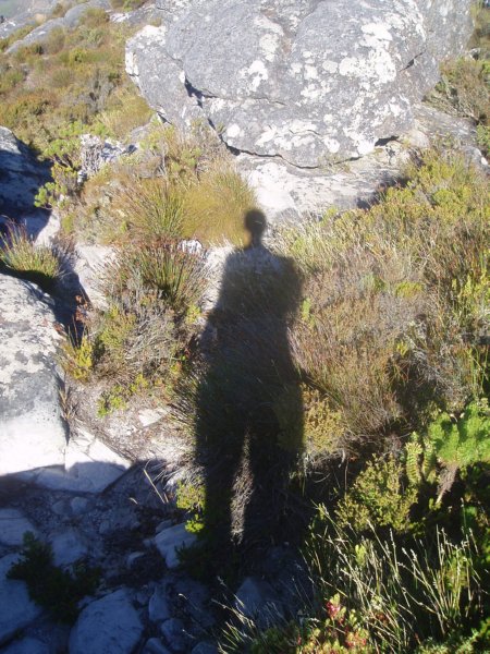 KeHa_in_South_Africa - 240